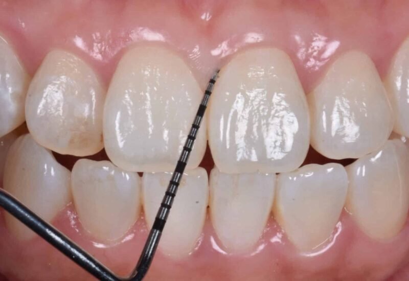 DSC 0194 scaled e1757573655506